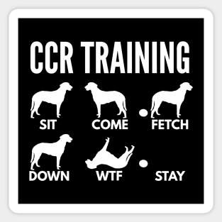 CCR Training Curly-Coated Retriever Tricks Sticker